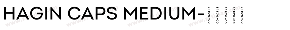Hagin Caps Medium字体转换